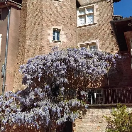 La Tour Du Griffoul Holiday home Gaillac